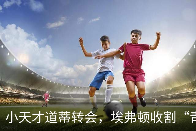 小天才道蒂转会，埃弗顿收割“青训补偿
